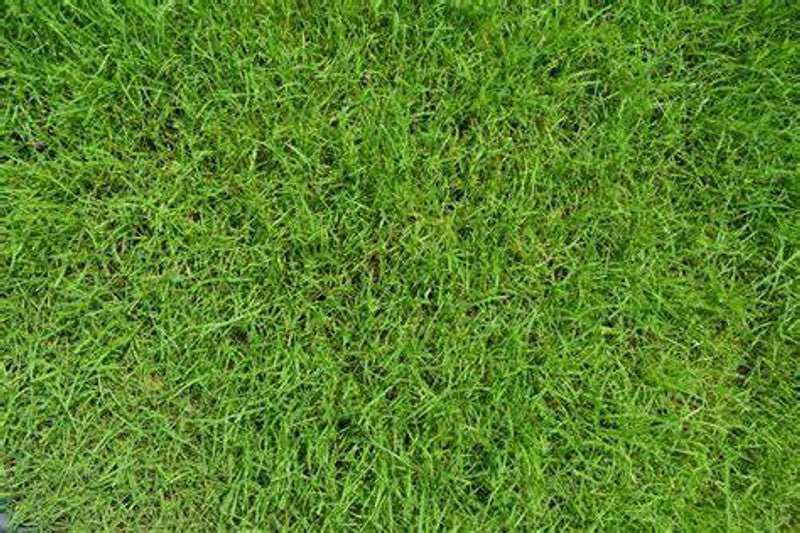 10295