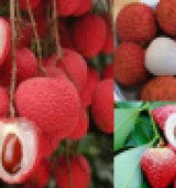 8853