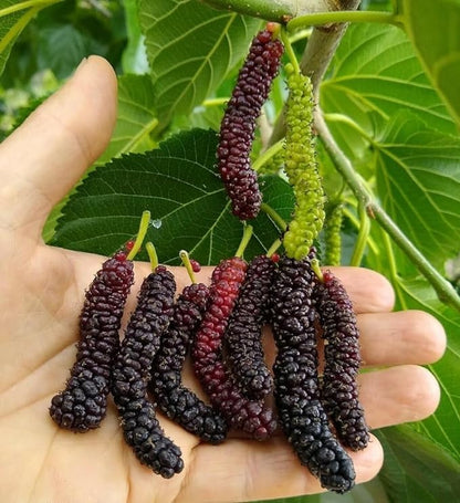 8973