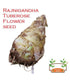 8862
