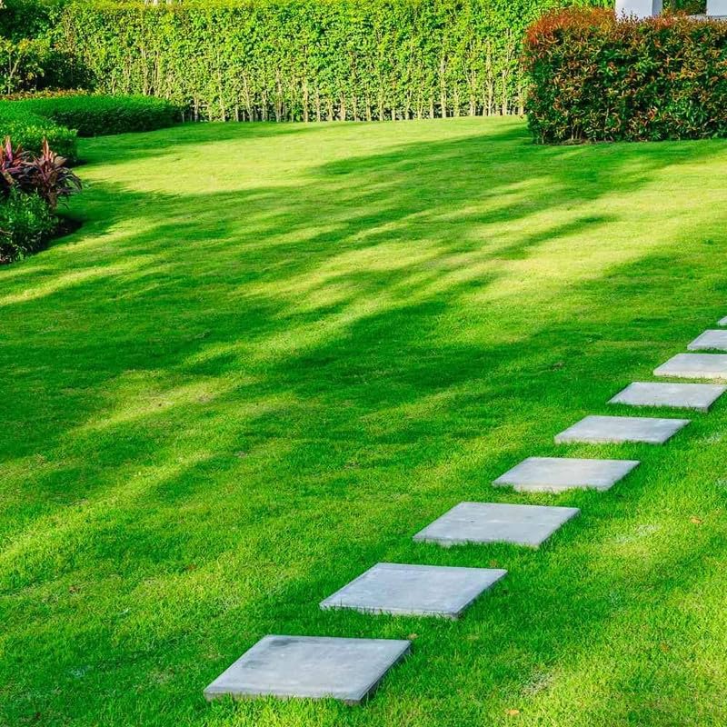 8850