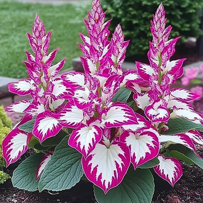 9101